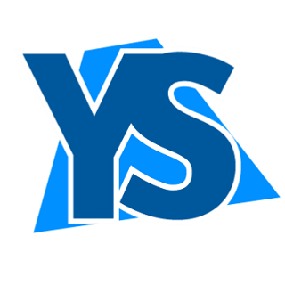 Youth Solutions Logo.png